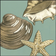 Small Shell Trio on Blue IV