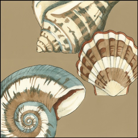Small Shell Trio on Khaki II