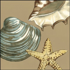 Small Shell Trio on Khaki IV