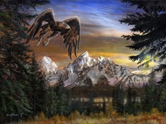 Soaring Eagle