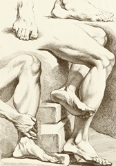 Study of Feet