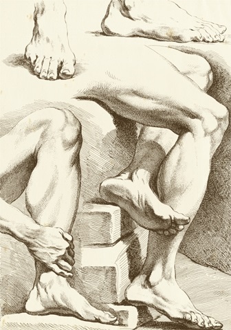 Study of Feet