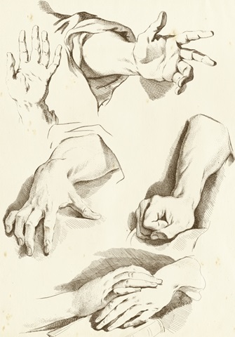 Study of Hands