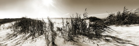 The Wind in the Dunes I