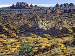 View from Coyote Buttes