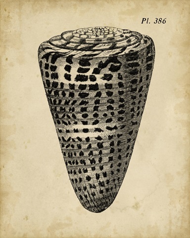 Vintage Diderot Shell I