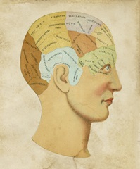 Vintage Phrenology