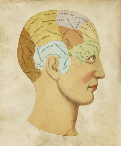 Vintage Phrenology