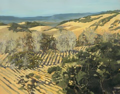 Winter Vineyard