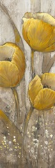 Ochre Tulips II