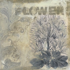 Beautiful Flowers II