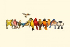Bird Menagerie I