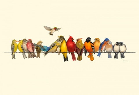 Bird Menagerie I