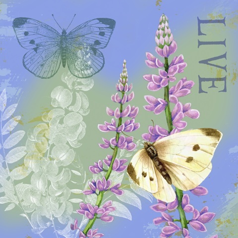 Butterflies Inspire I