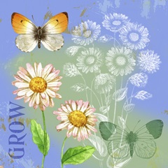 Butterflies Inspire III