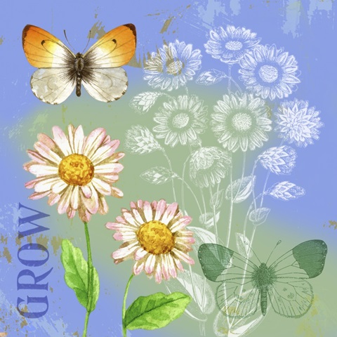 Butterflies Inspire III