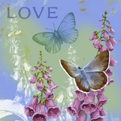 Butterflies Inspire IV