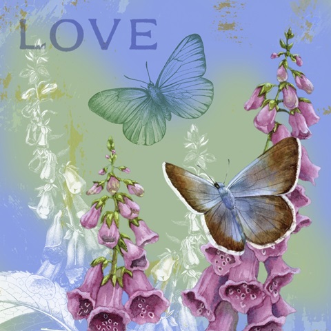 Butterflies Inspire IV