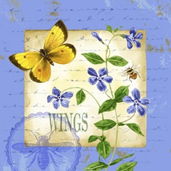 Butterfly Meadow III