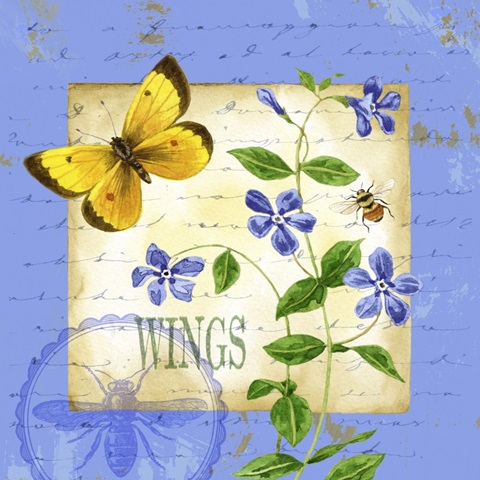 Butterfly Meadow III