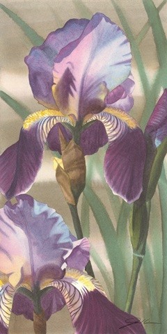 Asian Iris I