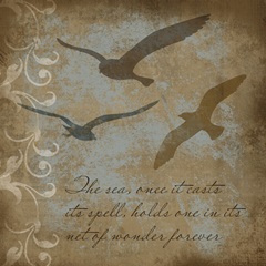 Coastal Inspiration II