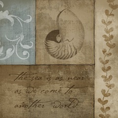 Coastal Inspiration V