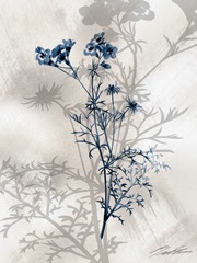 Indigo Bloom I