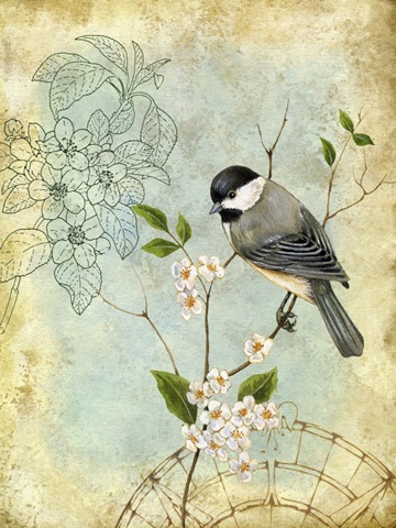 Songbird Sketchbook II