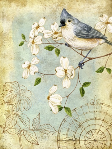 Songbird Sketchbook IV