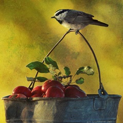 Apples and Chickadee