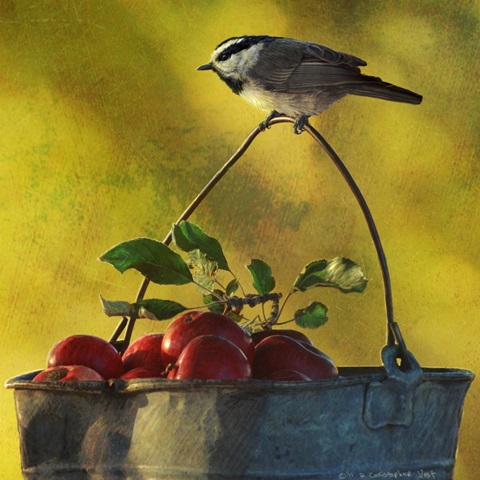 Apples and Chickadee