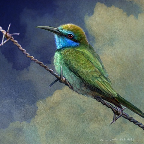 Bee Eater