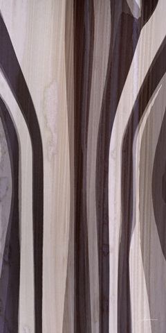 Bentwood Panel II