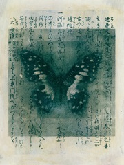 Butterfly Calligraphy I