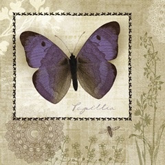Butterfly Notes I
