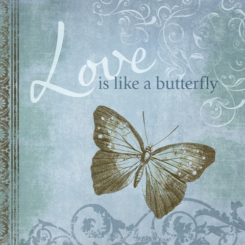 Butterfly Notes IX
