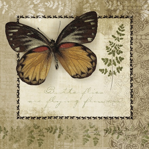 Butterfly Notes V