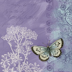 Butterfly Notes VIII