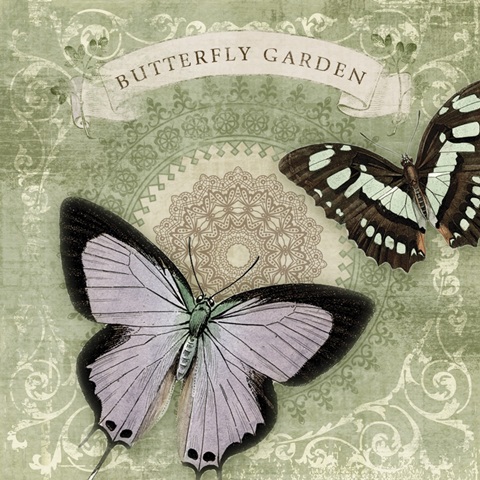 Butterfly Notes XII
