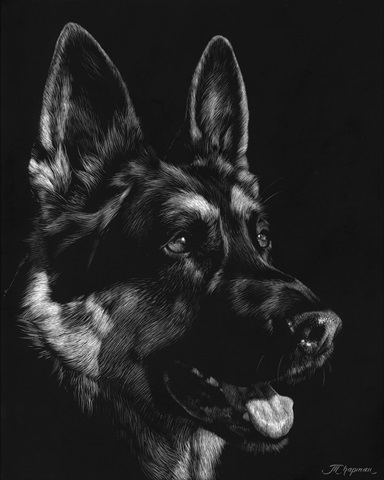 Canine Scratchboard I