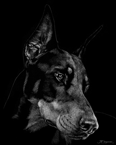 Canine Scratchboard III