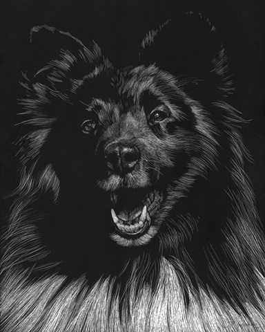 Canine Scratchboard IX