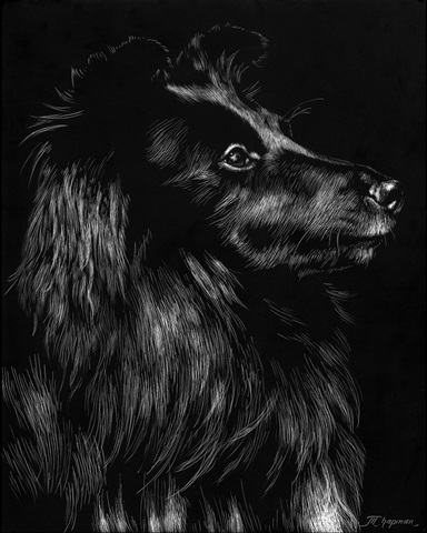 Canine Scratchboard VI