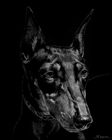 Canine Scratchboard XIII