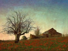 Barn on the Hill