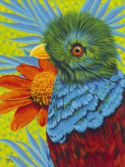 Bird in the Tropics II