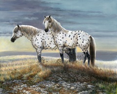 Appaloosa Sundown