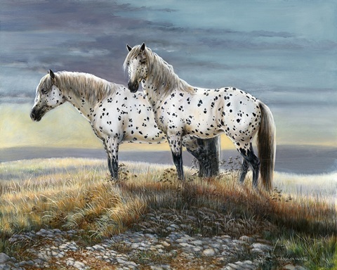 Appaloosa Sundown