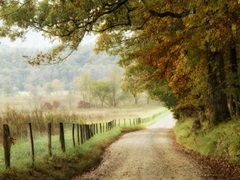Autumn on a Country Road